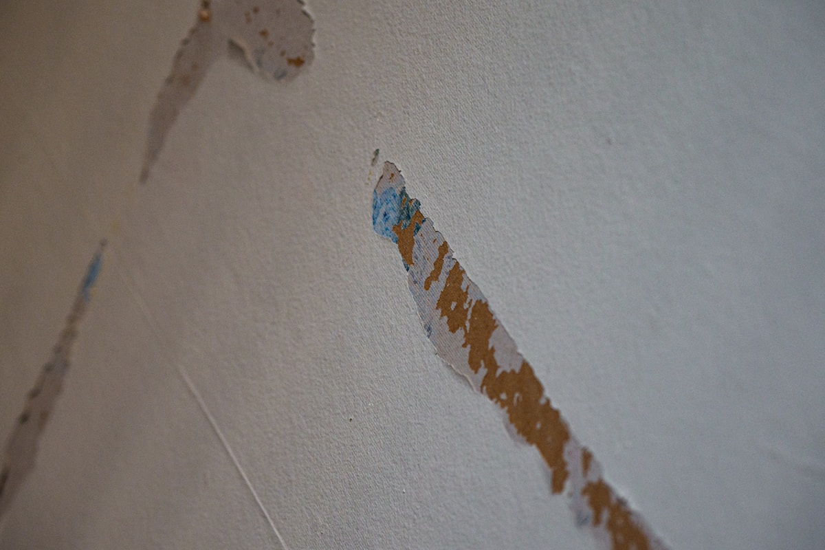 Commercial Water Damage service in Charlottesville, VA